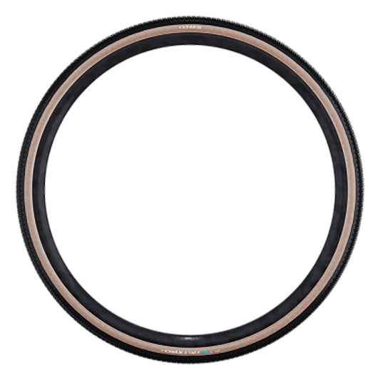 Schwalbe G-One R Tire - 700 x 45 Tubeless Folding BLK/Transparent Evolution Line Pro Addix Race