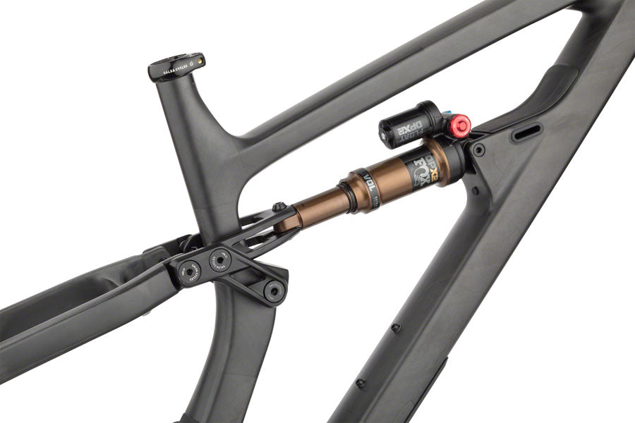 Salsa Blackthorn Carbon Frame - Carbon Raw Large