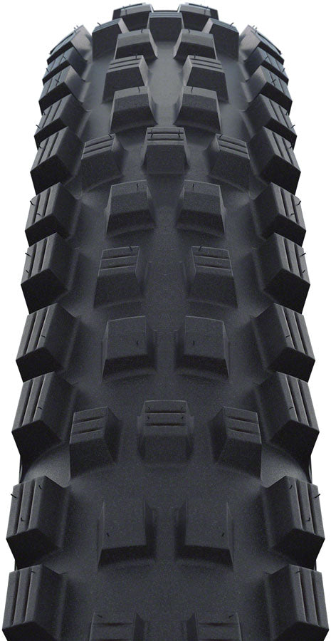Schwalbe Magic Mary Tire - 29 x 2.25 Tubeless Folding BLK Evolution Line Addix Soft Snakeskin