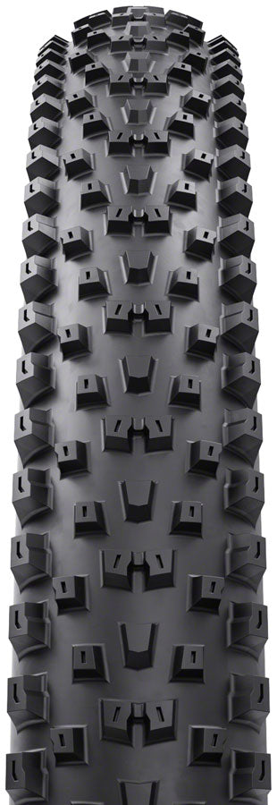 WTB Peacekeeper Tire - 29 x 2.4 TCS Tubeless Folding BLK Light/High Grip TriTec SG2