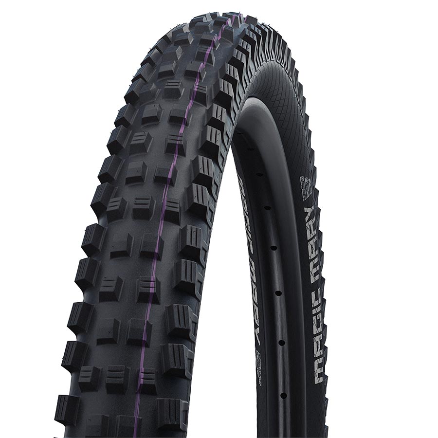 Schwalbe Magic Mary Gravity Pro Evo Mountain Tire 29"x2.50 Folding Tubeless Ready Addix Ultra Soft Radial Black