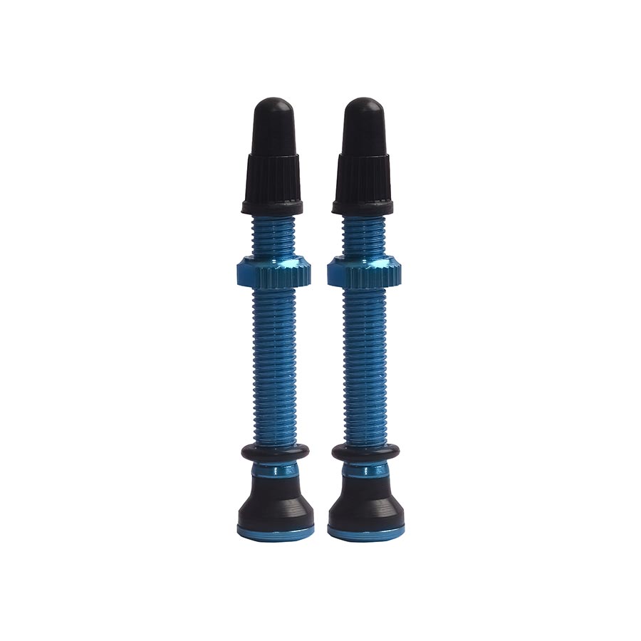Evo Tubeless Valve