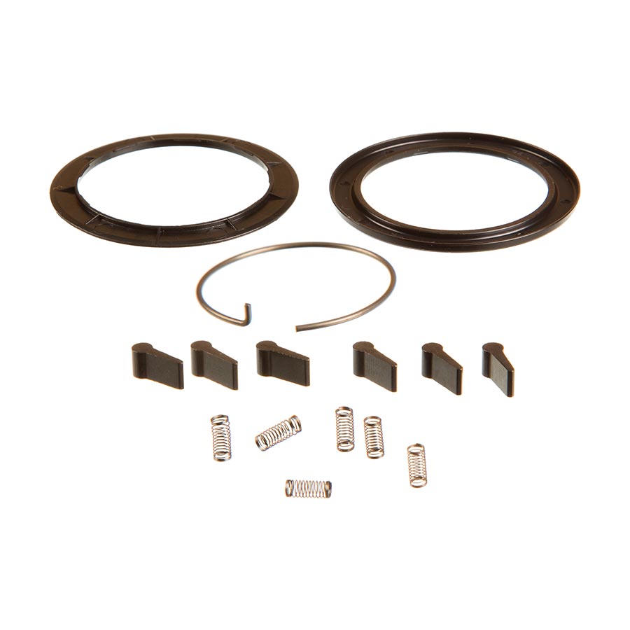 Zipp Spring and Pawl Set - ZR1