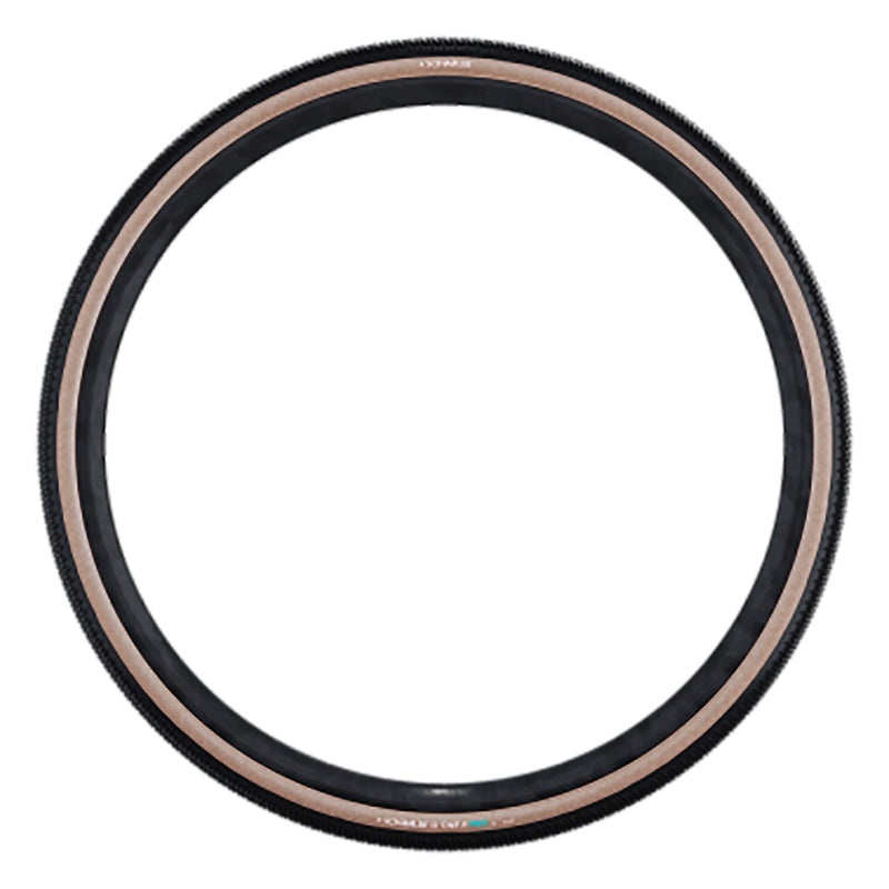 Schwalbe G-One R Tire - 700 x 40 Tubeless Folding BLK/Transparent Evolution Line Pro Addix Race