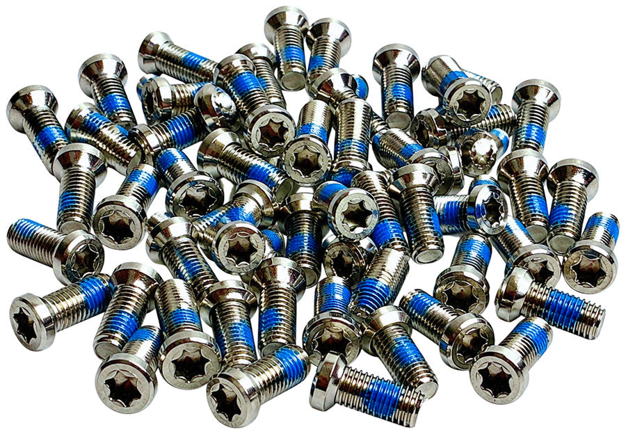 Wheels Manufacturing Gravel Chainring/Spider Bolts - 50 pack 8-Bolt M4 T20