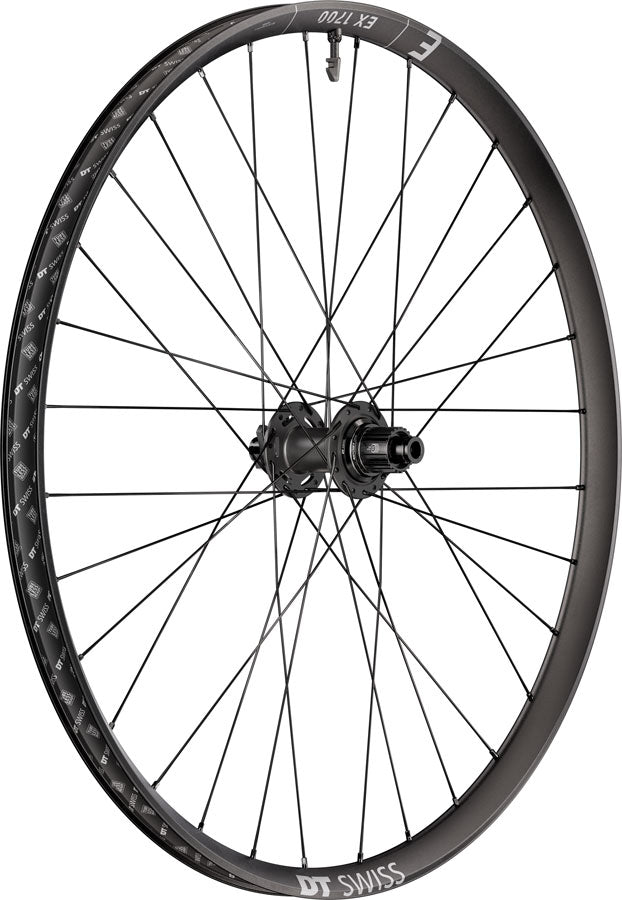 DT Swiss EX 1700 Classic 30 Rear Wheel - 29" 12 x 148mm 6-Bolt Micro Spline DEG 72 DF BLK
