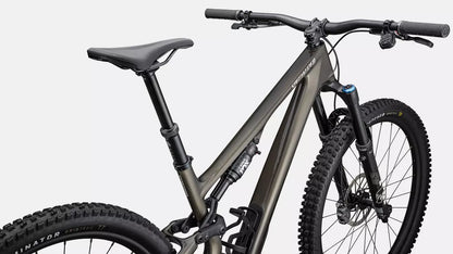 2025 Stumpjumper 15 Expert