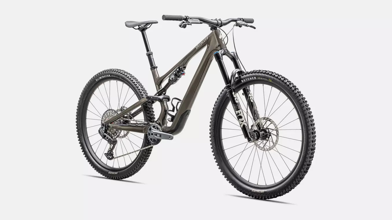 2025 Stumpjumper 15 Expert
