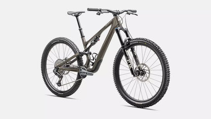 2025 Stumpjumper 15 Expert