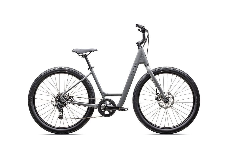 2025 Specialized Roll 2.0 Low Entry Bike Gloss Cool Grey / Satin Smoke Reflective M