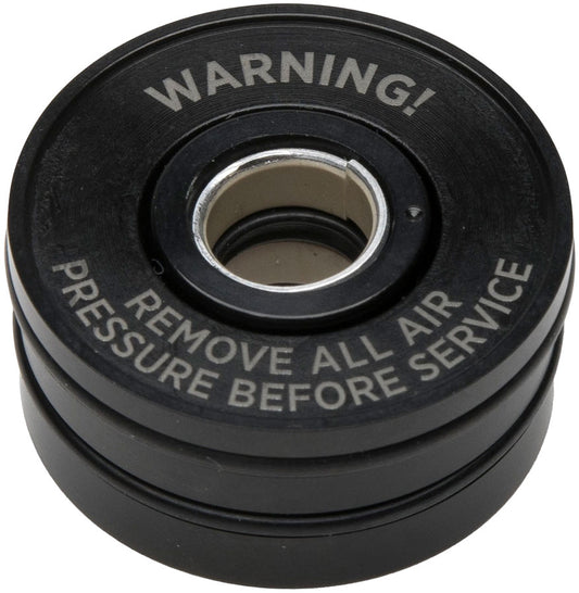 FOX 36 Neg Plate Subassembly - 2026 FLOAT NA 3 All Travel 1.287