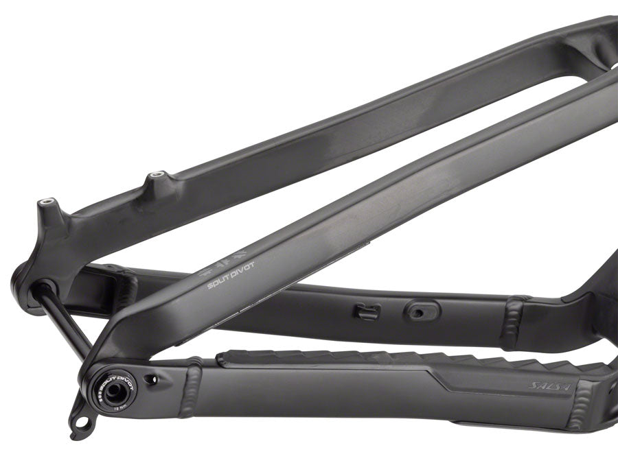 Salsa Blackthorn Carbon Frame - Carbon Raw Small