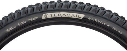 Teravail Warwick Tire - 29 x 2.5 Tubeless Folding BLK Light Supple Fast Compound