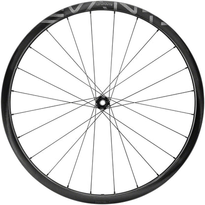 Campagnolo Levante Front Wheel - 700 12 x 100mm CenterLock Black