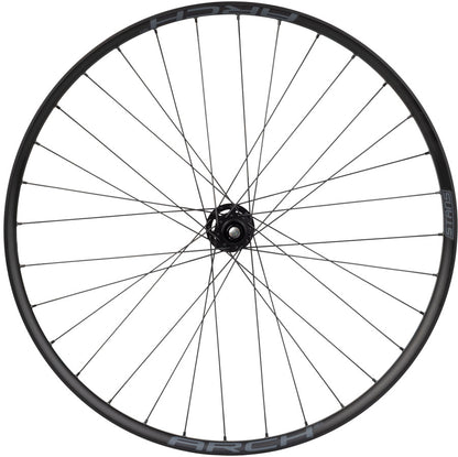 Quality Wheels DT 350 / Stans Arch S2 Front Wheel - 29" 15 x 110mm 6-Bolt BLK 32H