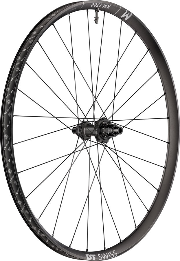 DT Swiss XM 1700 Spline 30 Rear Wheel - 29" 12 x 148mm Center-Lock XD DEG 72 DF BLK