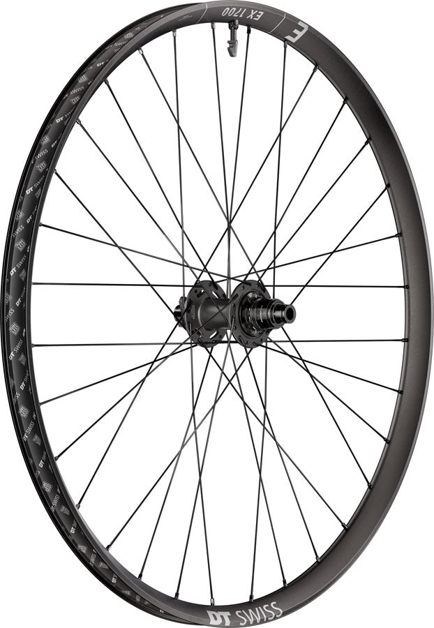 DT Swiss EX 1700 Classic 30 Rear Wheel - 29" 12 x 157mm 6-Bolt XD DEG 72 DF BLK